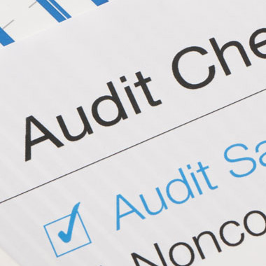 Accounts and audit services